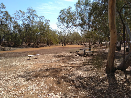 Balonne Shire Council - Thumbnail
