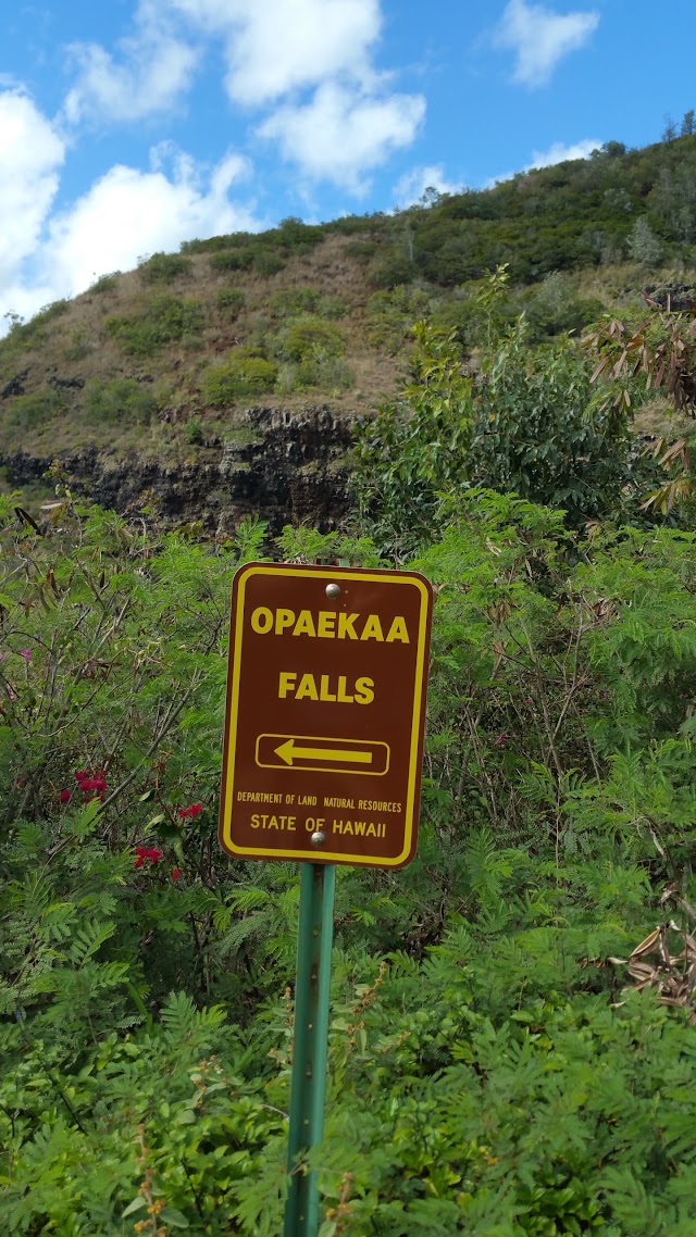 Opaeka'a Falls