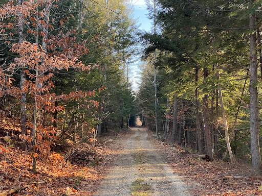 Sargent Station Rd Rail Trail - Thumbnail