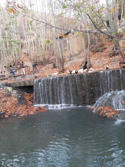 Photos of رستوران جزیره