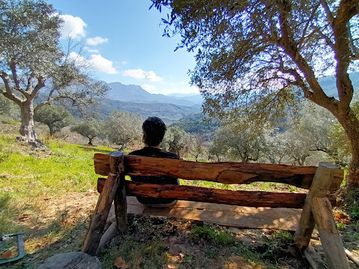 Vaccilento - Visual
