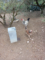 Photo n°15 de Gîte en Provence à Tarascon (Gîte)