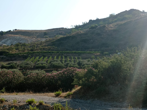 Sentiero naturalistico fiumara Spropoli
