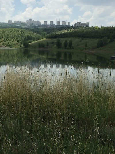 Bilkent Gölü