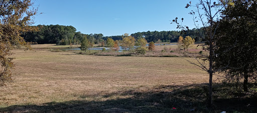 Halbert Park - Visual