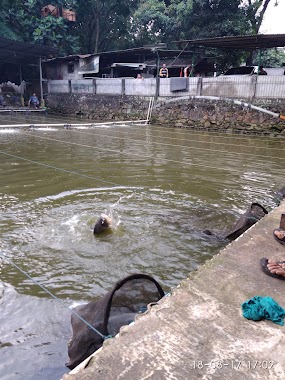 Pemancingan Gala tama, Author: Umi Sidik