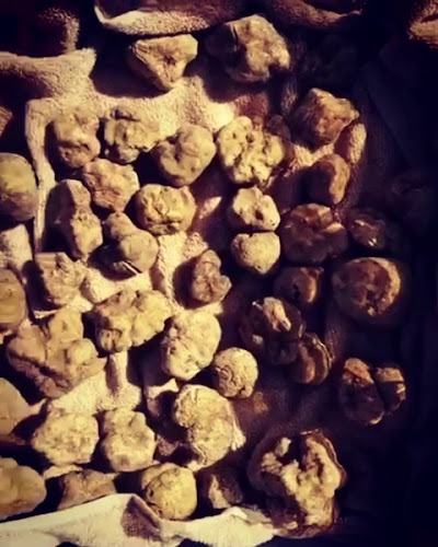 Comments and reviews of Truffle Store