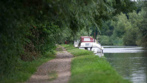 Wyatts Covert Caravan and Motorhome Club Campsite - Thumbnail