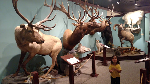 The Children’s Museum of Northeast Montana