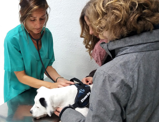 Centre Veterinari Castellbisbal