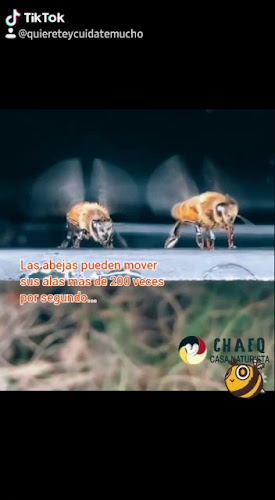 Opinii despre Casa Naturista Chaeq în Trujillo - Centro naturista