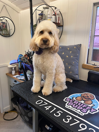 Scruffy Pups Grooming