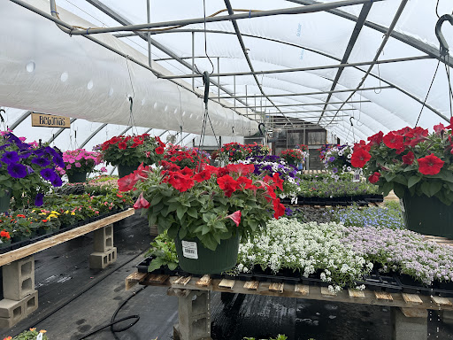BCC Botanicals, LLC - Thumbnail