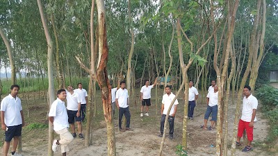Photos of Lima Nursery (লিমা নার্সারি)