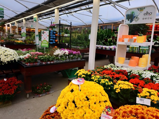 Flover Garden di Bussolengo