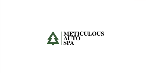 Meticulous Auto Spa Gallery - United States