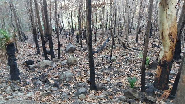 Mount Coolum National Park
