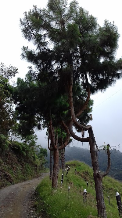Photos of PARQUEO
