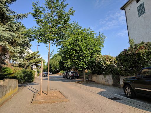 Elementary school Winzenheim Bad Kreuznach - Thumbnail