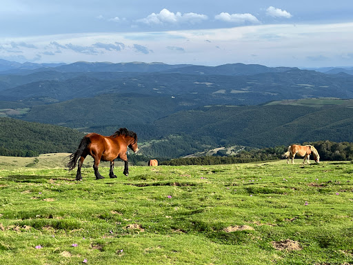 Mirador de Tapla - Thumbnail