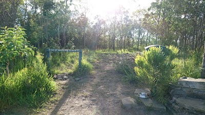 Photos of Wongabel State Forest