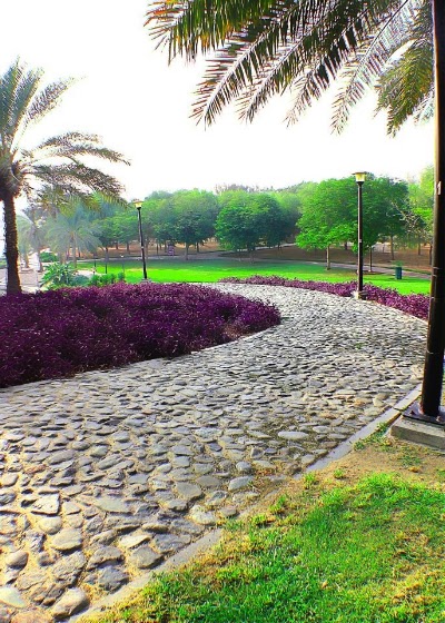 Photos of Safa Park waterfall