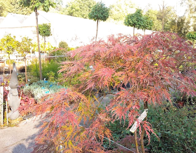 Central Jardin SA