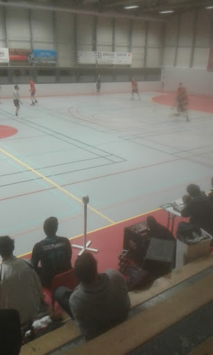 Pierre de Coubertin Stadium (Guardian) - Thumbnail