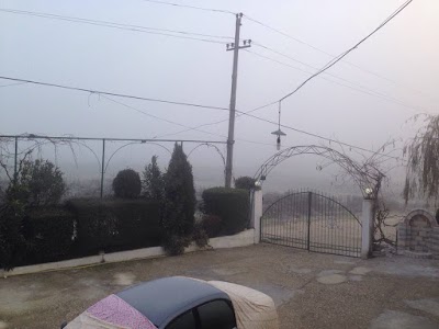 Photos of Restorant "Viktoria"