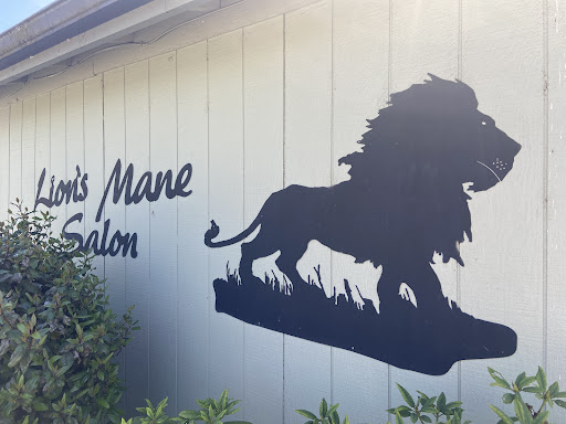 Lion's Mane - Visual