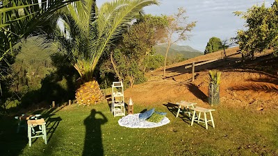 Photos of Parcela El Ruedo