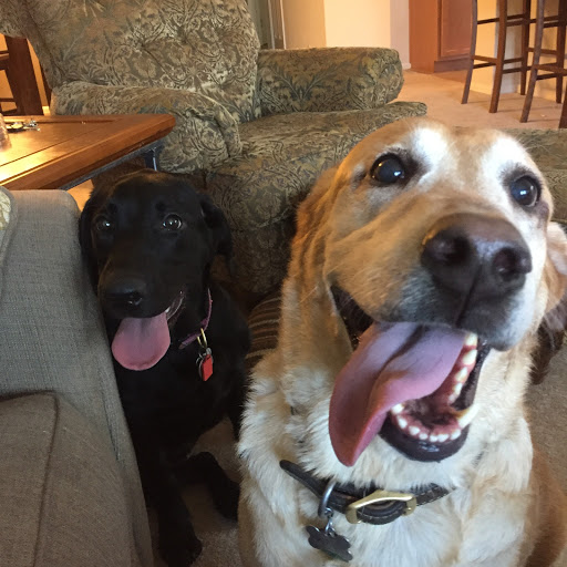 Veterinary Care Center of Laredo - Thumbnail