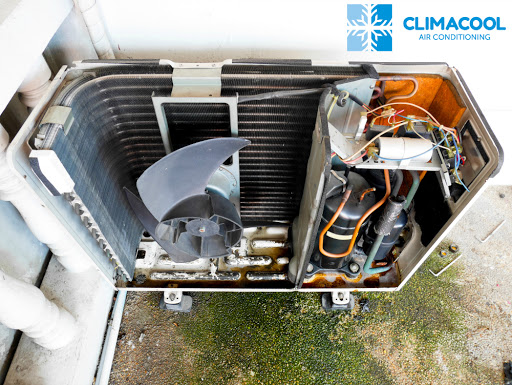 Climacool - Visual