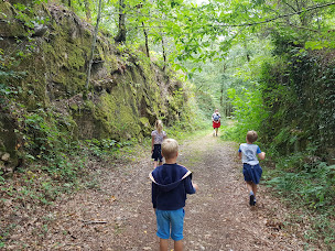 Photo n°32 de Château le Verdoyer - Camping, Chambres d'hôtes, Restaurant et Bar à Champs-Romain (Restaurant)