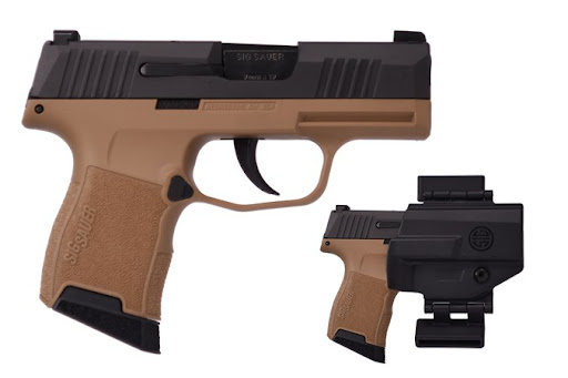 Echols Firearms - Visual