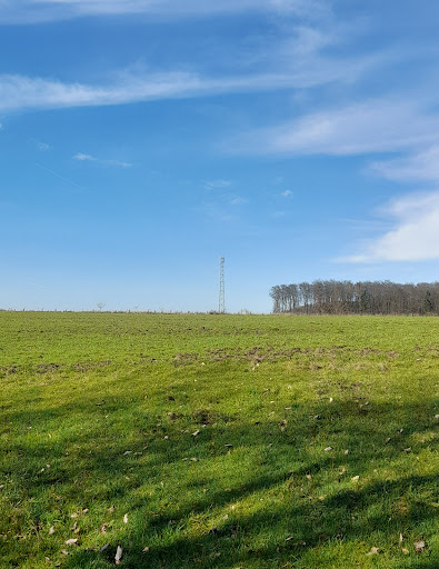 Holzbank am Waldrande