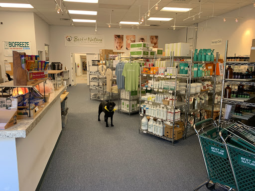 MASSAGESTORE.COM - Visual