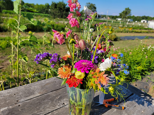 Fieldsview Farm - Visual