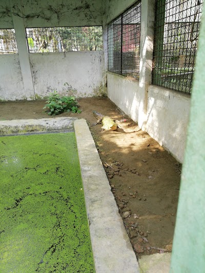 Photos of Mini Zoo, Shilpacharja Zainul Udyan