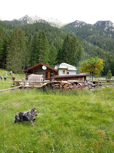 Alpe Sasso Bisolo