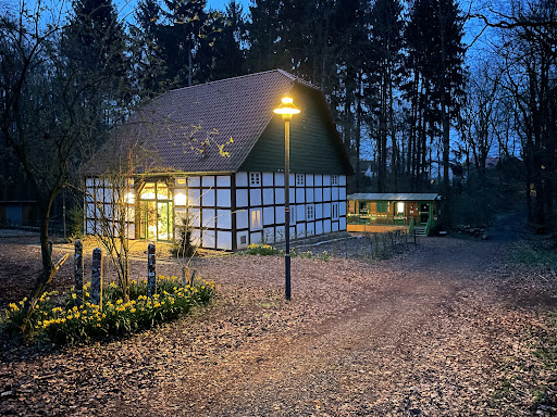 Katzenholz - Thumbnail