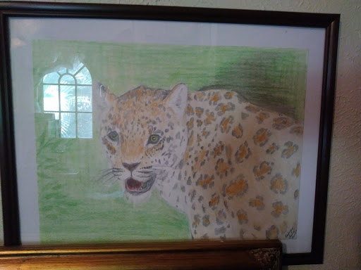 Rocha Art - Visual
