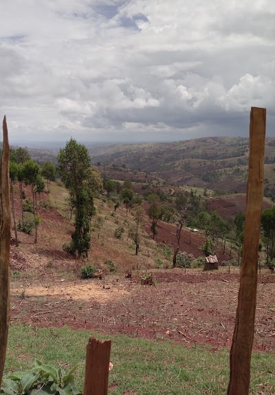 Photos of Cherangani Hills