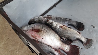 Photos of Wichlum Beach