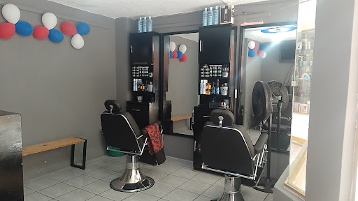 BEARS Barber - Visual