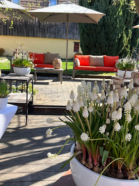 Auberge Saint-Laurent - HOTEL RESTAURANT by null