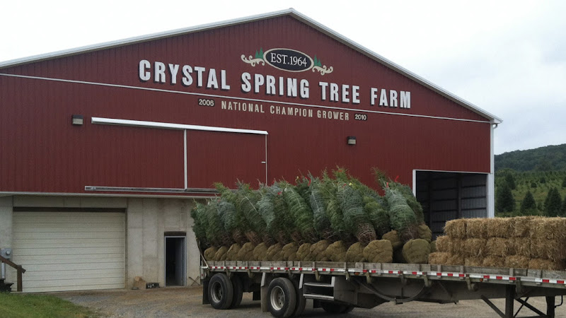 Crystal Spring Tree Farm