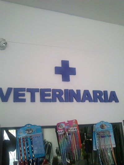 Photos of VETERINARIA SCIARRONE