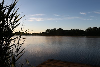 Photos of Alaska Carp Lake
