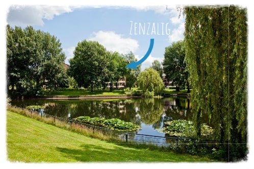 Zenzalig - Thumbnail